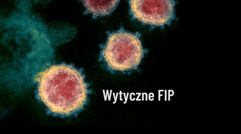 Covid-19 - wytyczne FIP.