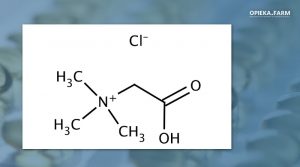 Chlorowodorek betainy
