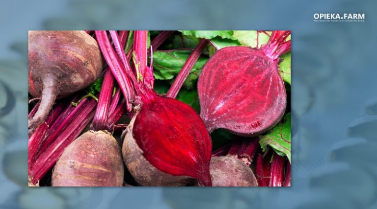 Beta vulgaris