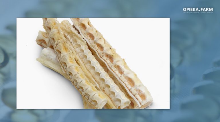 Shark cartilage