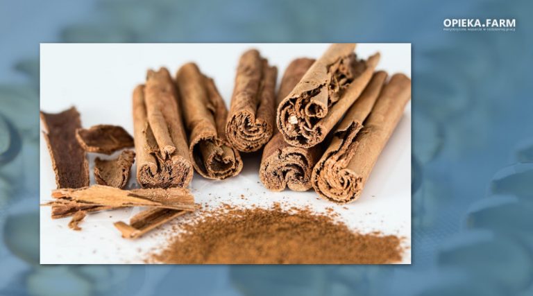 Cinnamomum verum L.