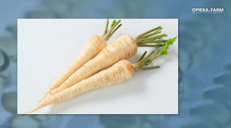 Petroselinum crispum