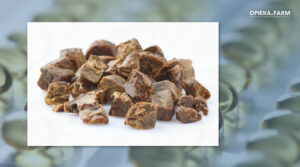 Propolis