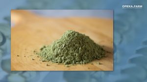 Spirulina w proszku