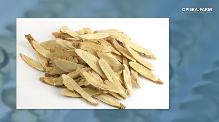 Astragalus membranaceus [Fisch.] Bunge