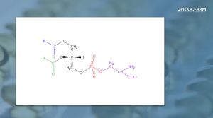 Phosphatidylserine