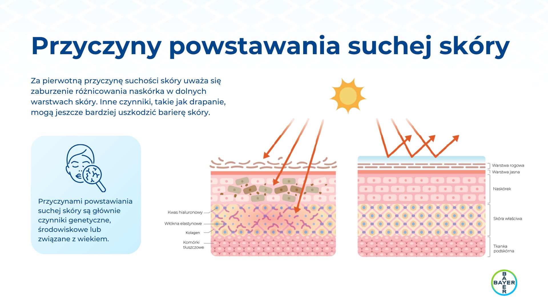 Prezentacja linii Bepanthen Derma, slajd 2
