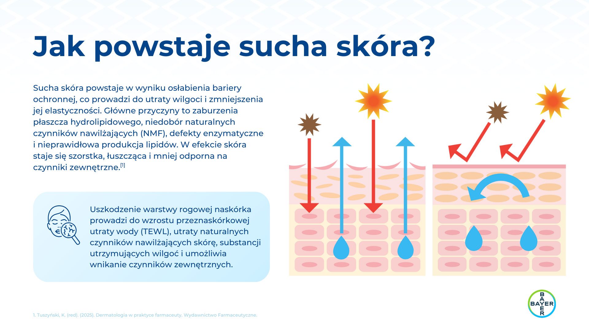 Prezentacja linii Bepanthen Derma, slajd 3