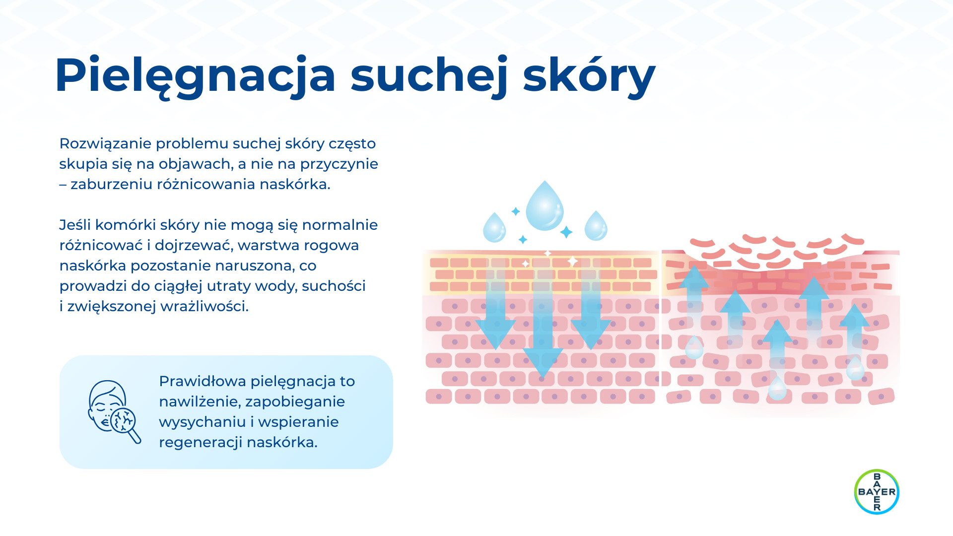 Prezentacja linii Bepanthen Derma, slajd 4