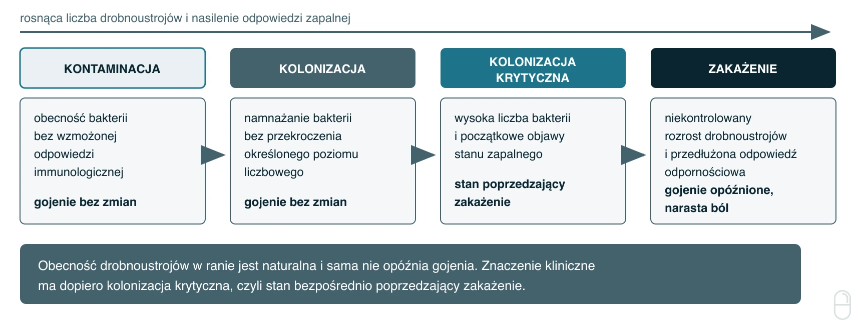 Kontinuum zakażenia rany przewlekłej od kontaminacji do zakażenia