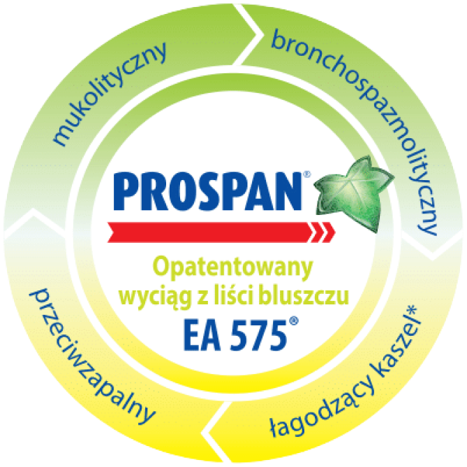 Opatentowany wyciąg z liści bluszczu EA 575 &ndash; mukolityczny, bronchospazmolityczny, łagodzący kaszel, przeciwzapalny